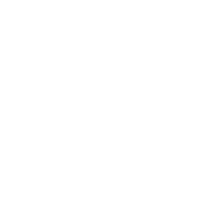 Loop Partners Loop Partners
