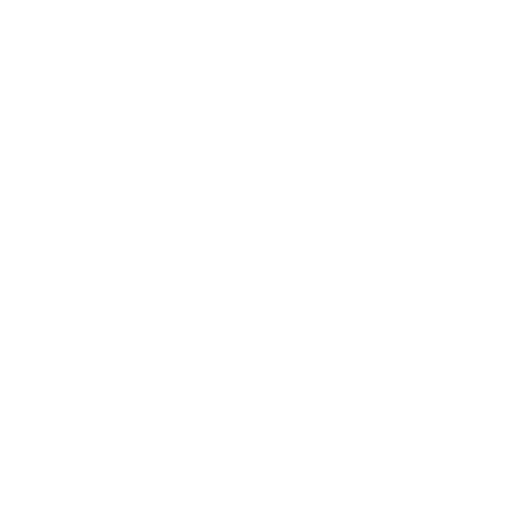 Nordic Reflecions Nordic Reflections logo